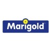 MARIGOLD