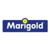 MARIGOLD